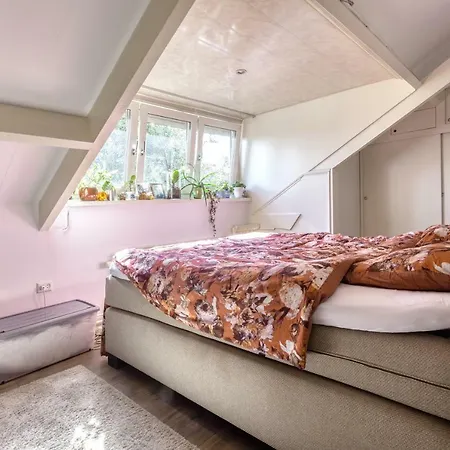 F1 Zeemanstraat Spacious